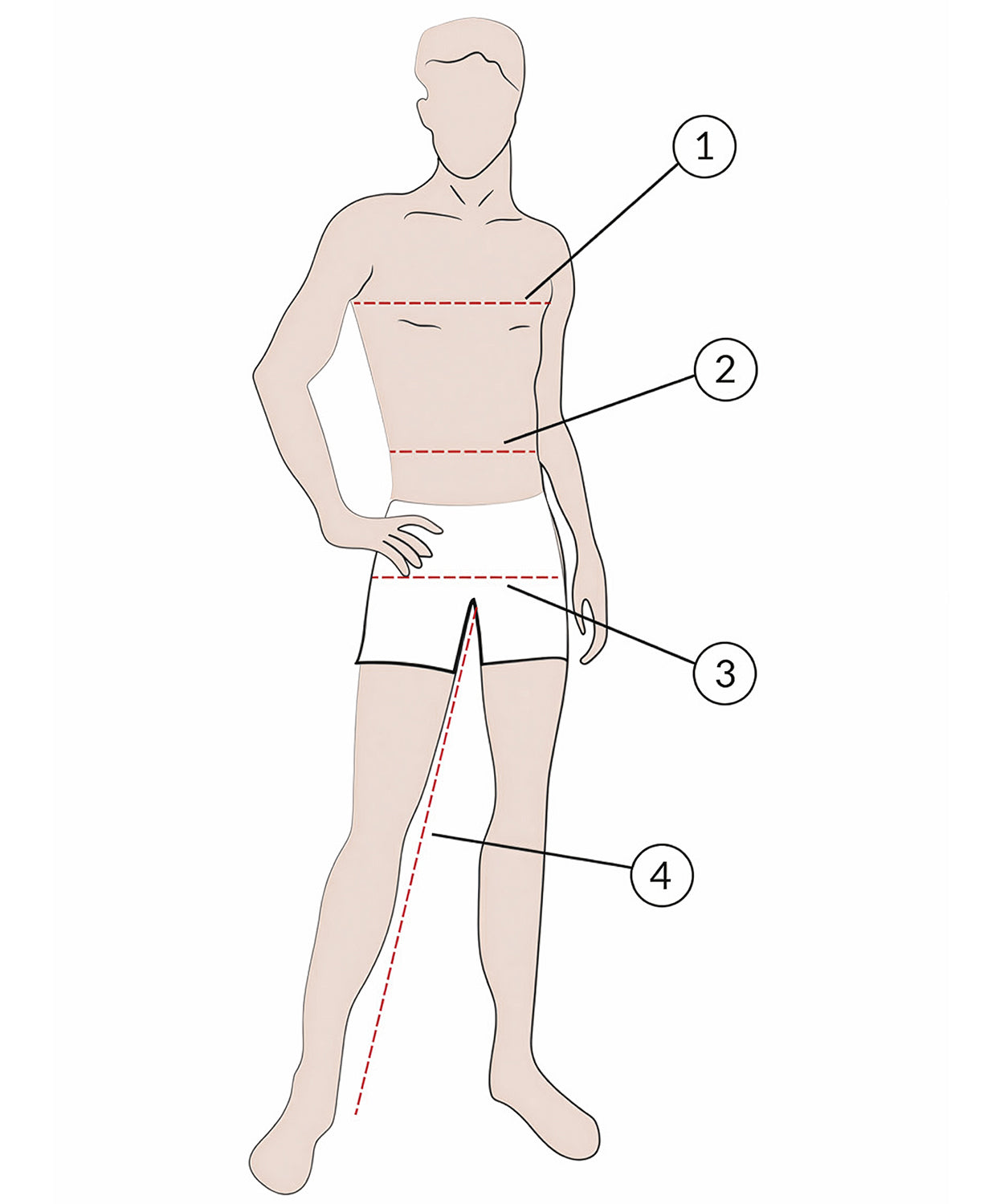 Herren Silhouette mit Nummerierungen für das richtige Messen.